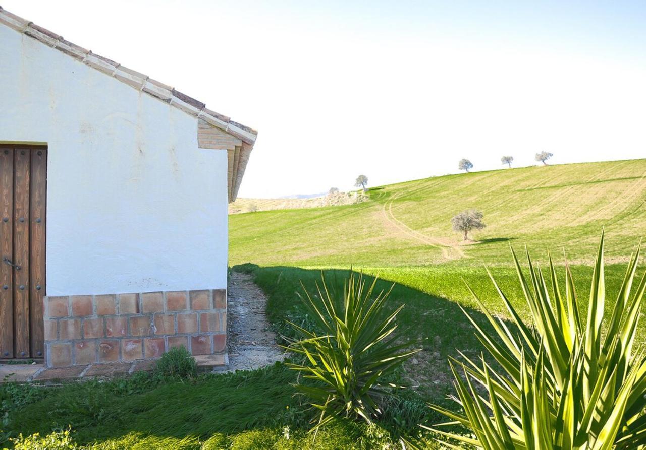 Cortijo Las Caballerias Alora Exteriér fotografie