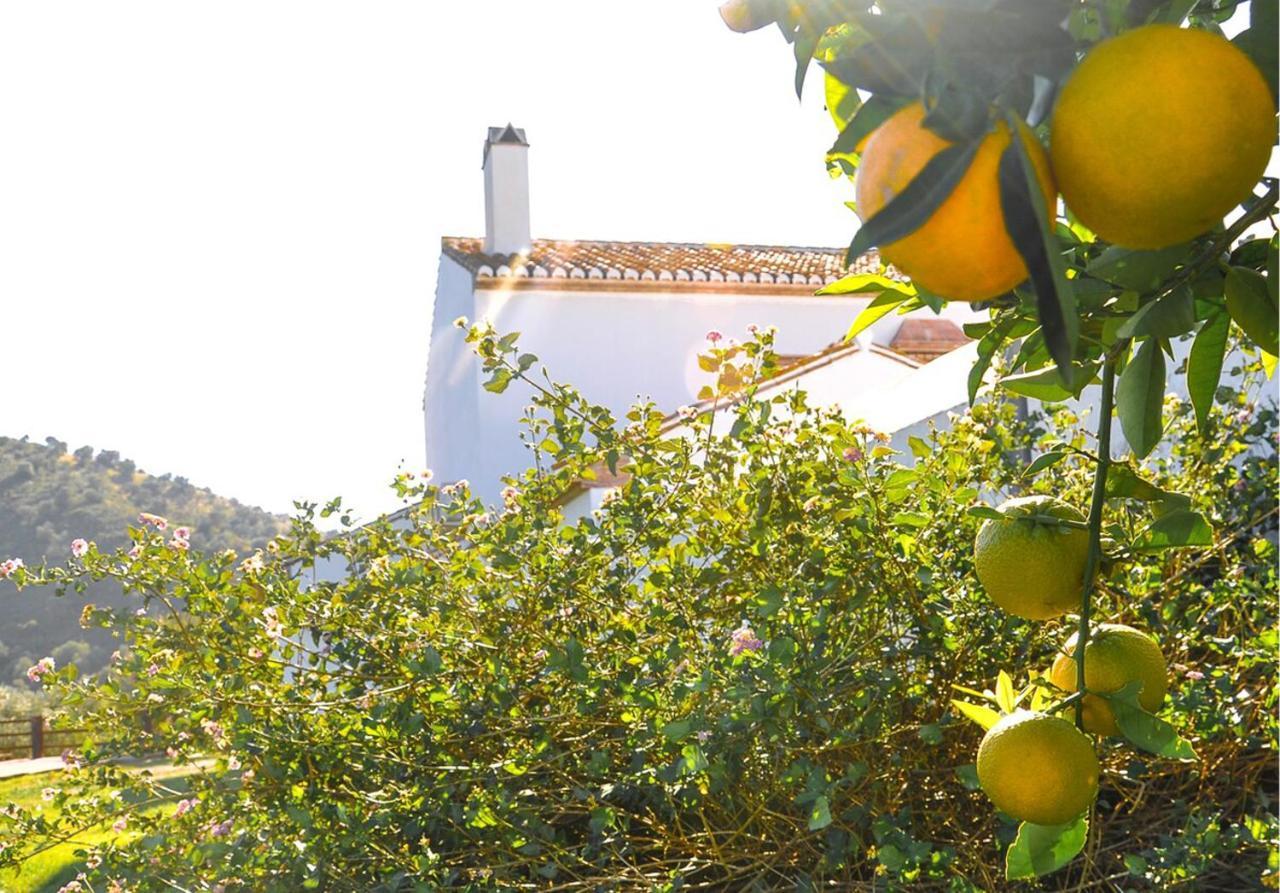 Cortijo Las Caballerias Alora Exteriér fotografie
