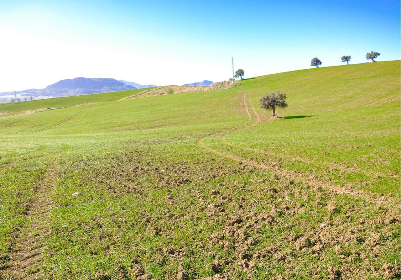 Cortijo Las Caballerias Alora Exteriér fotografie